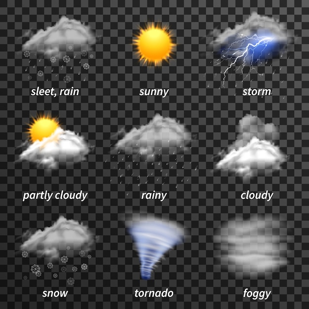 Crafting a Realistic Forecast for New Business Ventures