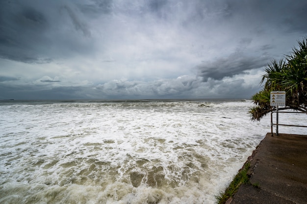 Five Essential Strategies for Rebounding After Hurricane Harvey