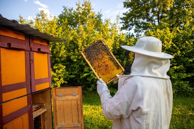 Focus on Success: How Just Bee Cosmetics Transformed a Beekeeping Passion into a Thriving Enterprise